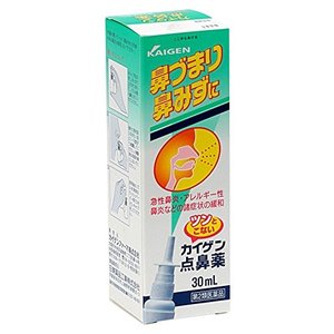 他サイト： 【第2類医薬品】カイゲン点鼻薬 30mlの商品画像