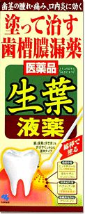 他サイト： 【第3類医薬品】塗って治す歯槽膿漏薬 生葉液薬 小林製薬の商品画像