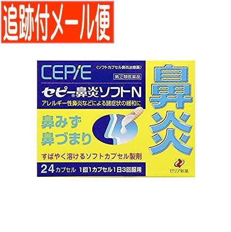 他サイト： 【メール便送料無料】【第(2)類医薬品】セピー鼻炎ソフトN 24カプセルの商品画像