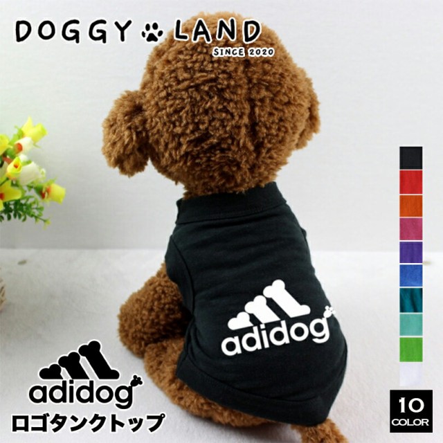  hbOEFA xXg   ̕ adidog ...