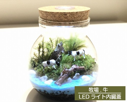 母の日 父の日 ギフト 送料無料 苔テラリウム 牧場 Ledライト内臓蓋 手作り キット 還暦祝い ギフト 誕生日 プレゼント ワークショッの通販はau Pay マーケット テラリウムtakara