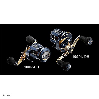 他サイト： (4550133034664)ダイワ(DAIWA) 21 ソルティガ IC 100P-DH 右ハンドルの商品画像