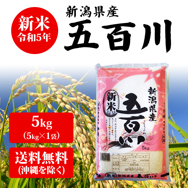 新米　5kg　PAY　PAY　送料無料　（5kg×1袋）【送料無料　新潟おこめ市場　新米】令和5年産　安い　au　※沖縄へは送料2,200円】　5キロ　マーケット－通販サイト　5kg　産地直の通販はau　新潟県産　PAY　au　お米　五百川　マーケット　米　マーケット店