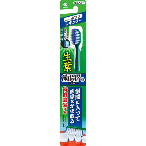 他サイト： 小林製薬 生葉 歯間に入るブラシ レギュラーヘッド ふつう 1本 ※色の指定不可 約幅42×高さ232×奥26mmの商品画像