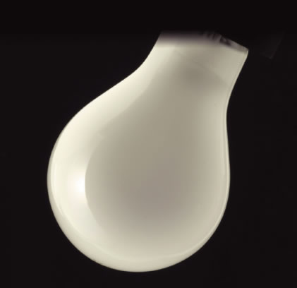 熱田資材 WING ACE 耐震電球 フローストタイプ 250W 1個