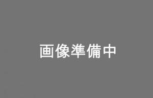他サイト： SHIMANO シマノ ICNHG54116I チェーン116リンク  10281 X-281【沖縄・離島への配送不可】の商品画像