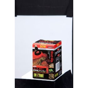 他サイト： GEX(ジェックス) ヒートグロー スポットランプ50W EXO-TERRAの商品画像