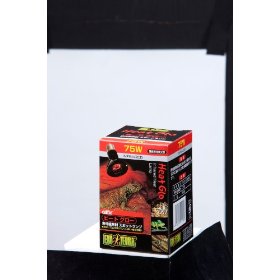 他サイト： GEX(ジェックス) ヒートグロースポットランプ 75W EXO-TERRA 【保温ランプ/紫外線灯/UV灯/爬虫類用/両生類用の商品画像
