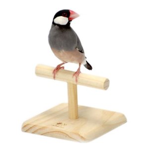 他サイト： THANKO サンコー SANKO 小鳥のT型ローパーチの商品画像