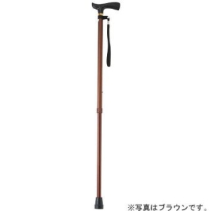 他サイト： フジホーム ベーシックE 伸縮 ブラック E2493004の商品画像