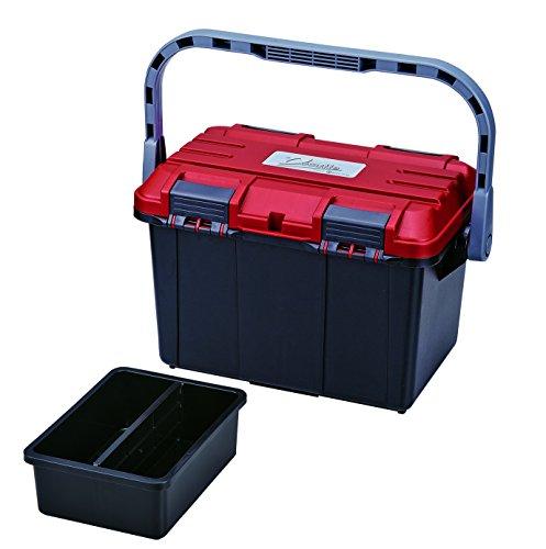 他サイト： リングスター(RING STAR) リングスター ドカット(ナカサラツキ) D-4500の商品画像