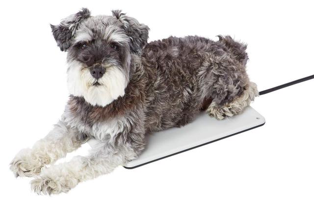 他サイト： ペティオ (Petio) リバーシブル電気ヒーター ハード Mの商品画像