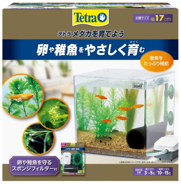 他サイト： スペクトラム ブランズ ジャパン テトラ メダカを育てようの商品画像