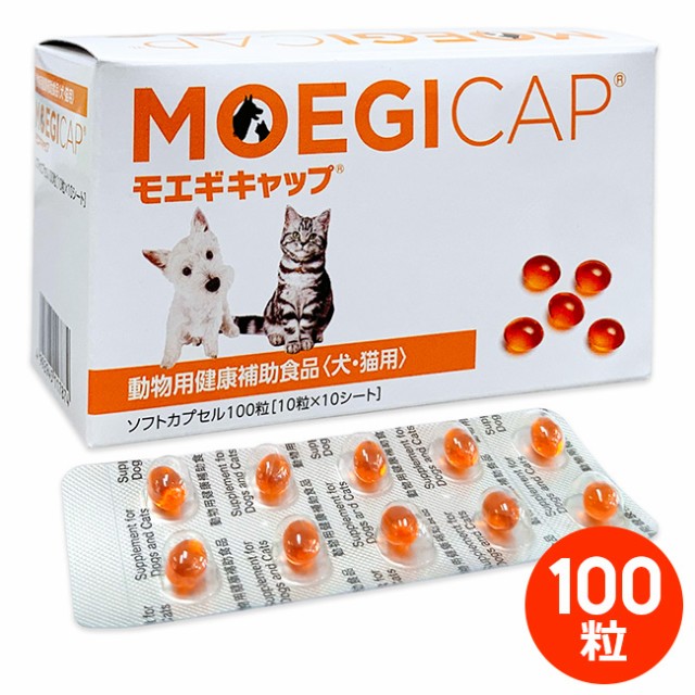 数々のアワードを受賞】 猫用フィプロスポットプラスキャット 3本 3ピペット 動物用医薬品 lombalgie.eu