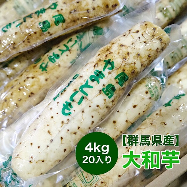 自然薯 熊本 阿蘇 2022 山芋 600g 縁起物 山菜の王者 長芋より高価 岩下自然薯農園 冷蔵 ： Amazon・楽天・ヤフー等の通販価格比較  [最安値.com]