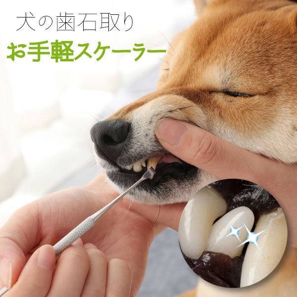 y䂤[֑zybgp Ύ S...