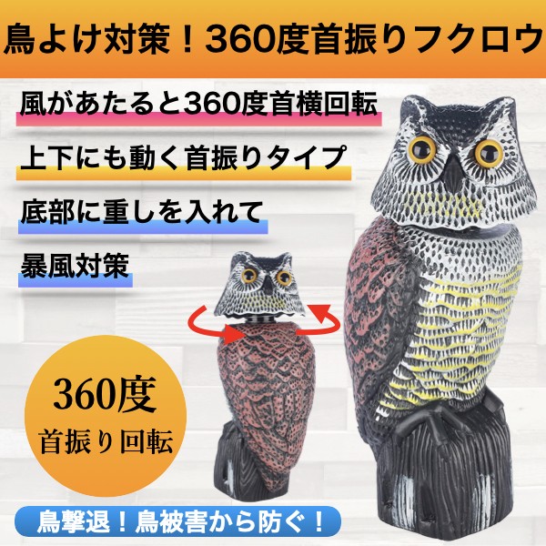 まとめ買い 10袋入 GFオルトラン粒剤 1.6kg 住友化学園芸 ばらまくだけで広範囲の害虫に効果が持続 殺虫剤 ：  Amazon・楽天・ヤフー等の通販価格比較 [最安値.com]