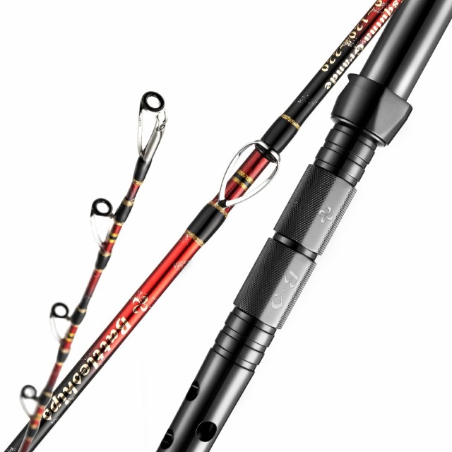 ダイワ Daiwa IL シーフレックス64 50-270 05296935 ： 通販・価格比較