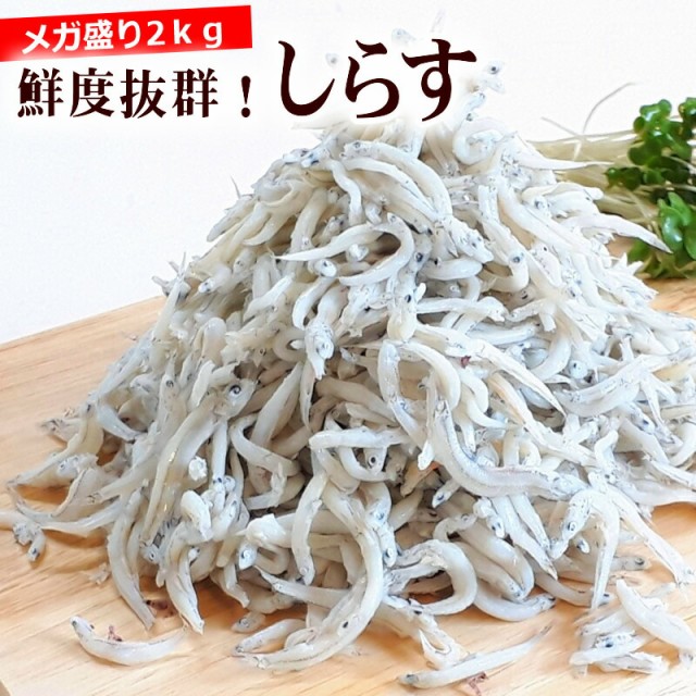 まとめ買い】 新物 しらす 2Kg シラス 訳あり 国産 釜揚げしらす 送料無料 お試し 海産物