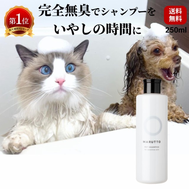 98%OFF!】 あすつく ２個セット 薬用酢酸クロルヘキシジンシャンプー 250g×２個 犬猫 ささえあ製薬 discoversvg.com