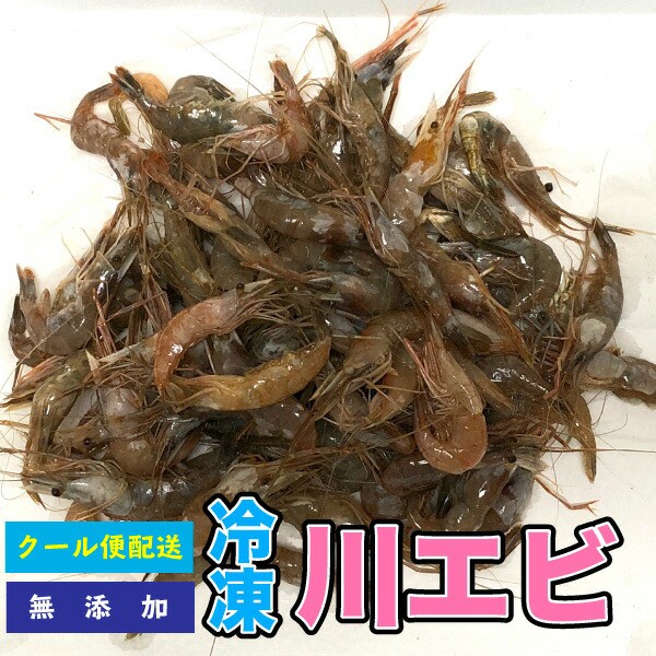 3個セット　キョーリン　スーパーレッドシュリンプ　３５ｇ 熱帯魚 海水魚 金魚 カメ お買い物マラソン