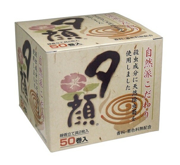shonan健美