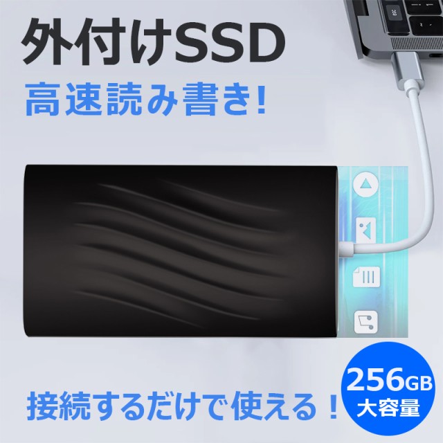 BUFFALO バッファロー USB 3.2 Gen 1 対応 外付けポータブルSSD 250GB