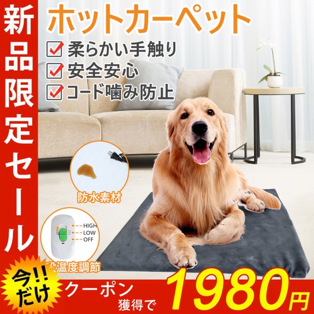 犬 サプリメント イペット1本と 家庭の医学冊子付 ： Amazon・楽天・ヤフー等の通販価格比較 [最安値.com]