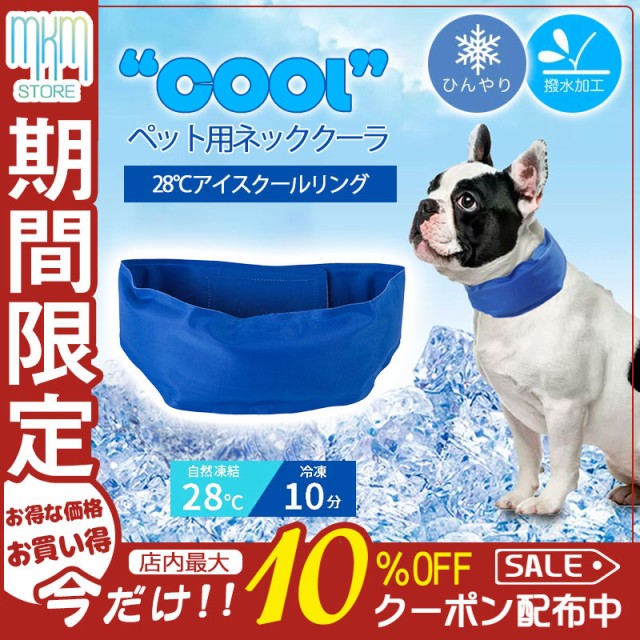 SALE／66%OFF】 ドッグ ペット用品 唐草柄 犬 唐草 和柄 猫 首輪 GOODS