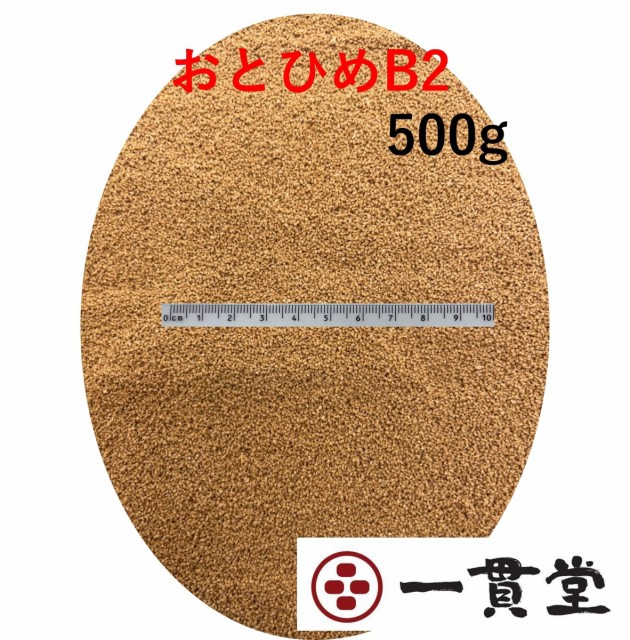 超ポイント祭 期間限定 ひかりクレスト ビッグカーニバル 400g 1ケース 個入り キョーリン 熱帯魚 エサ 送料無料 Fucoa Cl