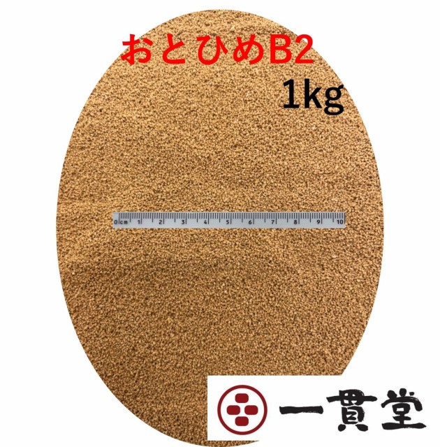 市場 月間優良ショップ感謝価格 6錠+説明書付き ゾウリムシ 500ml+培養用