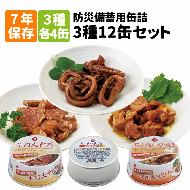 イザメシ 煮込みハンバーグ 180g ： 通販・価格比較 [最安値.com]