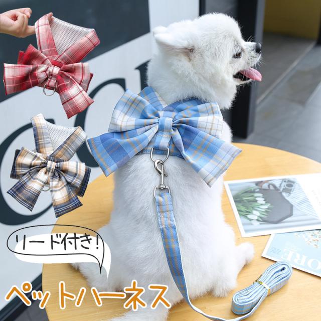 バディベルト BBスポーツブルー サイズ3.5 リードセット BB オール