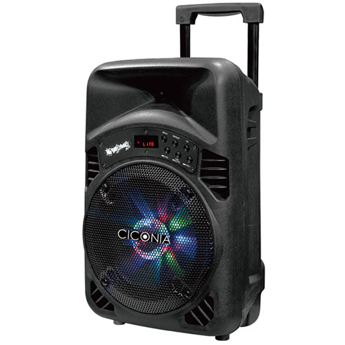 他サイト： センター商事 CICONIA トロリースピーカー(CTX08BS) 取り寄せ商品の商品画像