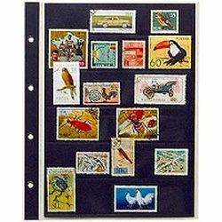 他サイト： テージー コレクションアルバムスペア台紙(SB-306S) 目安在庫=○の商品画像