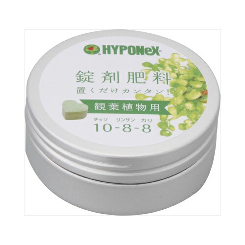 他サイト： ハイポネックスジャパン 錠剤肥料 観葉植物用 送料無料の商品画像