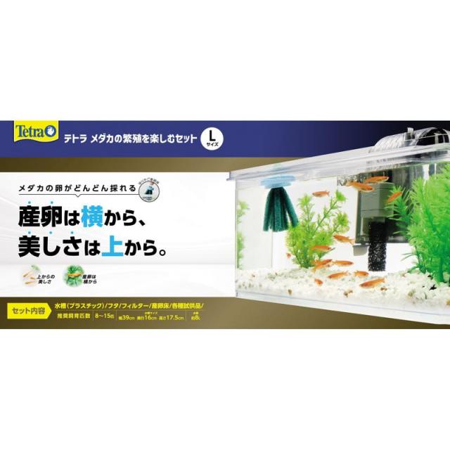 他サイト： テトラ(Tetra) メダカの繁殖を楽しむセット L スペクトラムブランズの商品画像