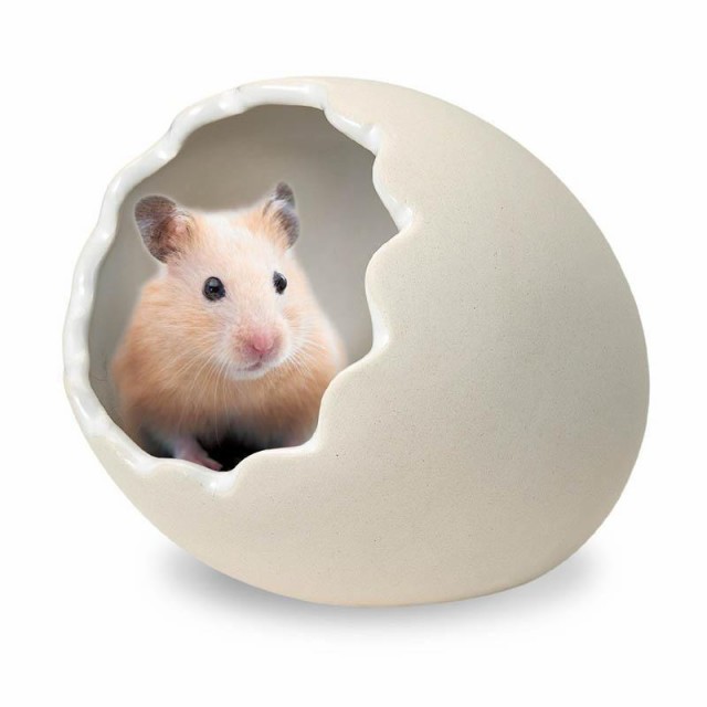 他サイト：  マルカン ハムスター ハウス たまご型がかわいい はむすたまご M の商品画像
