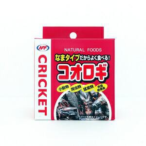 他サイト：  NPF ナチュラルペットフーズ コオロギ 缶 40g 単品 両生類 爬虫類 ハリネズミ エサ 餌 フード 肉食熱帯魚 小動物 の商品画像