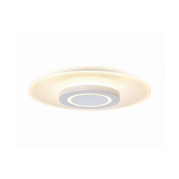 他サイト： アイリスオーヤマ LEDシーリングライト 導光板 8畳 CEA-A08DLP 導光パネル 照明 天井照明の商品画像