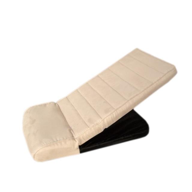 他サイト：  ペットスロープ PS-02 アイボリー 明和グラビア の商品画像