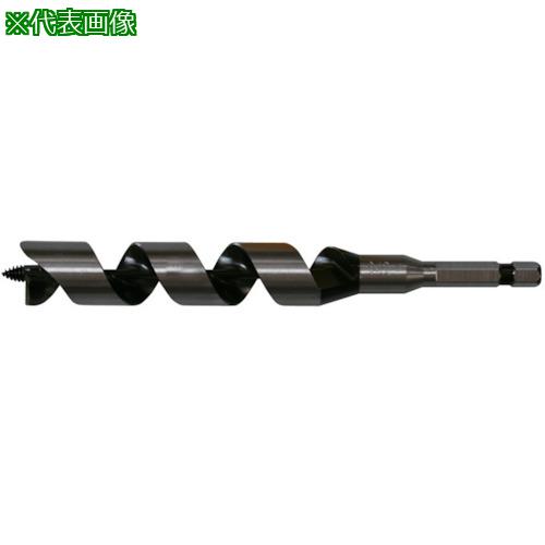 他サイト： ■スターエム 兼用ビット 25.0〔品番:6250〕【8374437:0】[店頭受取不可]の商品画像