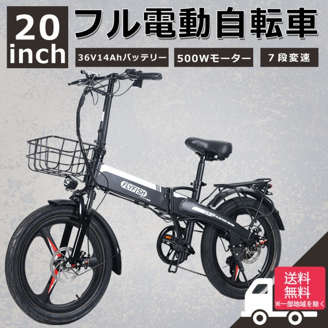 PELTECH ペルテック 折り畳み電動アシスト自転車 20インチ折り畳み外装