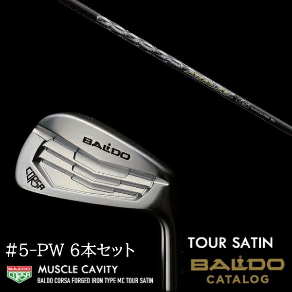 タイトリスト T100 アイアン Titleist TENSEI AV AM2 RED シャフト 6本