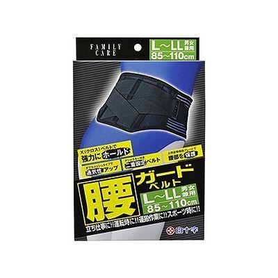 他サイト： FC 腰ガードベルト L-LLサイズ 009427362【送料無料】の商品画像