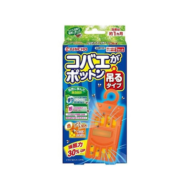 コバエの対策 駆除 大量発生しないためにすべきこと Wow Magazine ワウマガジン コバエの対策 駆除 大量発生しないためにすべきこと Wow Magazine ワウマガジン