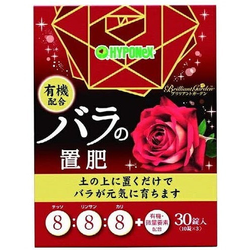 武田コーポレーション 直火 土鍋 ふきこぼれにくい土鍋 刷毛目 8号