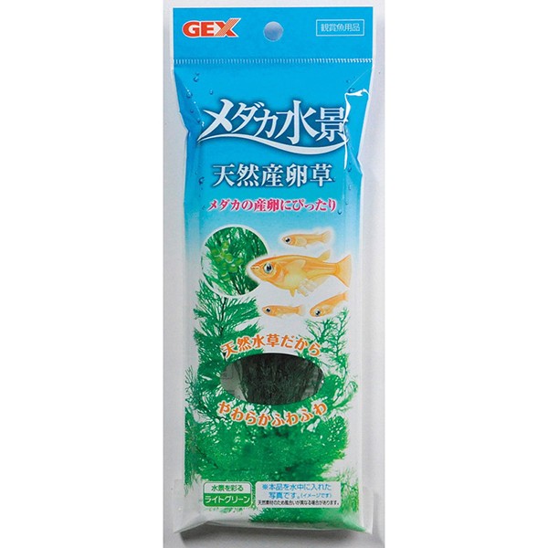 他サイト： ジェックス GEX メダカ水景 天然産卵草の商品画像
