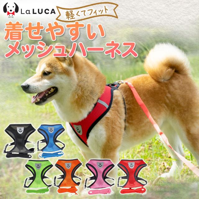 BUDDY BELTS バディベルト ハーネス リード セット＊タータン 4号