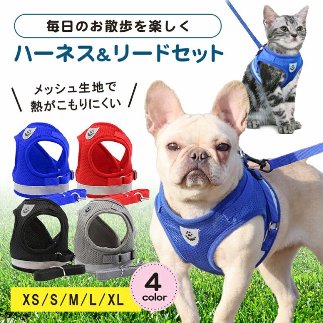 2つセットで☆アズノゥアズデワン☆古音リード＆ハーネス
